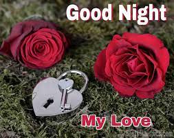 Romantic goodnight love messages can make his/her day complete and hit their bed with satisfied smile. 121 Romantic Good Night Rose Flower Images Hd 2021 Best Status Pics