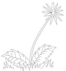 Dandelion One Of Natures Flowers Free Printable Coloring And Activity Pages Click For More Fun Pages F Flower Coloring Pages Flowers Free Printable Coloring