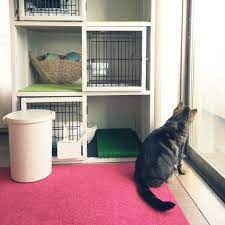 人工芝 キャットケージ 東リ タイルカーペット 猫との生活 猫と暮らす などのインテリア実例 2016 05 07 15 39 55 roomclip ルームクリップ 猫 猫の家具 猫部屋