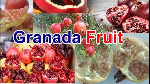 Pomme de grenade ( i think that is how. Granada Fruit Youtube