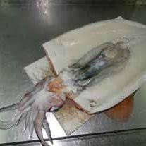 b: Sex determination by examining the gonads in the mantle cavity of...