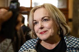 Minister Judith Collins says no allies have put pressure