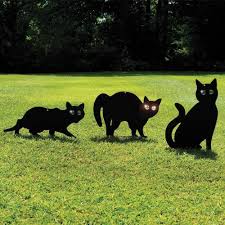 We did not find results for: How To Stop Cats Pooping In Your Garden The Buyers Impact