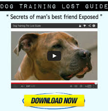 Dog Training Hand Signals Chart And Pdf Receptivewhiz3