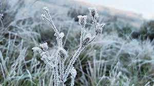 As temperaturas nestas áreas ficam em torno dos 4°c. Massa De Ar Polar Traz Geada E Temperaturas Negativas A Regiao Sul Jornal Do Comercio