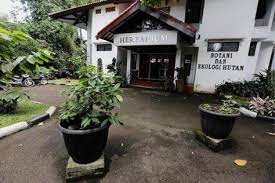 Gedung Kantor Puslitbang Hutan Bogor Jawa Barat Ekologi Botani Alam