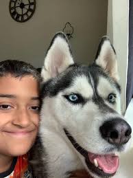 awww :) kato does this with other huskies but then tries to eat them lol