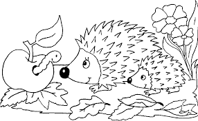 Hedgehogs And Apple Igel Ausmalbild Ausmalbilder Ausmalbilder Tiere