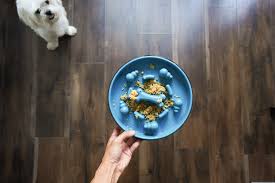 Check spelling or type a new query. Bringing A New Dog Home Everything You Need To Know Your Best Digs