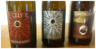 25 m / 80 ft. Il Lambrusco Schietto E Frizzante Come La Sua Terra Cantina Paltrinieri Vinodabere Esperienze Nel Mondo Del Vino Della Gastronomia E Della Ristorazione