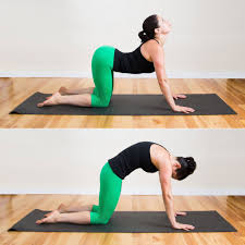 Cat Cow Pose Yoga For Flat Belly Workout For Beginners Yoga Poses For Beginners