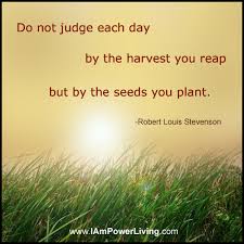 Plant Seeds Power Living Today