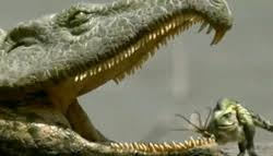 Image result for Proterosuchus