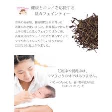 Yahoo!ショッピング - Yahoo! JAPAN