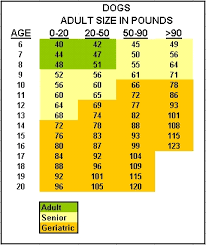 Dog Age Chart Related Keywords Suggestions Dog Age Chart