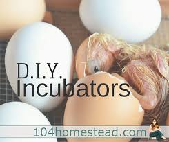 What's the best way to make things at home? Do It Yourself Incubator Ideas