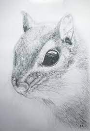 Dibujos A Lapiz Faciles Para Ninos De Animales Fotos De Amor Imagenes De Amor Nombres para perros machos originales y bonitos. dibujos a lapiz faciles para ninos de