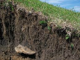 Soil Basics Soil Science Society Of America