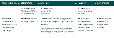 Now that the ppp loan forgiveness application is out (download it here), our office has received several (an understatement) calls and emails regarding how to fill it out.to make it easier, our team has broken it down for you. Tax Planning And Reporting Questions With Ppp Forgiveness