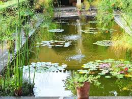 Nettoyer Un Bassin De Jardin Sans Le Vider Tous Les Conseils Pour Entretenir Un Bassin En 2020 Bassin De Jardin Bassin Trucs Et Astuces Jardinage