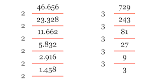 Diagram menunjukkan cara yang sistematis untuk menentukan semua faktor prima dari sebuah bilangan. Pohon Faktor Pendidikan Matematika