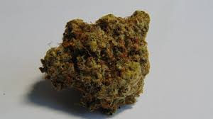La marihuana es el medio de comunicación en español más visitado sobre la industria del cannabis. Cbd Bluten Als Marihuana Ohne Rausch Cbdsofort Com
