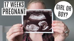 17 Weeks Pregnant Early Gender Scan Youtube