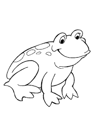 In frog coloring pages for 2019, there is no specific difference among male and female frog. Coloring Pages Free Printable Coloring Pages For Kids