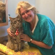 Pet groomers are often attached to pet stores but may also operate on their own as specialty services or pet salons. The 10 Best Cat Groomers In Providence Ri With Free Estimates