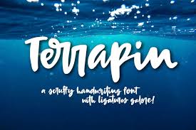 It can be used for titling and. Terrapin A Scrappy Handwriting Font 38569 Handwritten Font Bundles