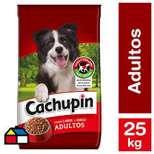 Veterinaria Cachupin
