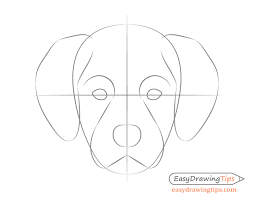 Draw the shape of the body and neck of the dog. Dog Head Front View Drawing Step By Step Easydrawingtips