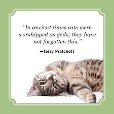 25 Best Cat Quotes Funny Cat Quotes