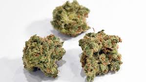 Voted #1 las vegas marijuana dispensary cannabis superstore and. Smoking Is Tops For Medical Marijuana Patients Wpec