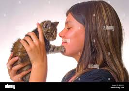 Long haired kitten hi-res stock photography and images