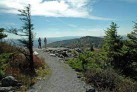 Maybe you would like to learn more about one of these? Monongahela National Forest West Virginia Explorer
