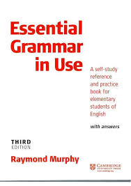 English Vocabulary In Use Elementary Cd Rom Free Download Pin On Bgs School