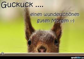 Ich Sehe Dich Guten Morgen Guten Morgen Lustig Guten Morgen Lieblingsmensch