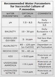 Water Quality Parameters Shrimp Care Aquaculture Products