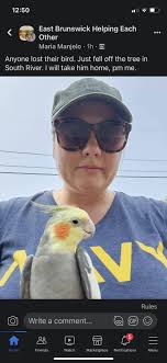 Is anyone in Middlesex County missing their Goffins Cockatoo?