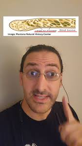 Amazing Facts About Bird Bones and Sinus Anatomy