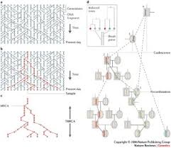 Dna mutations practice answer key worksheets printable dna mutation simulation the biology corner showing top 8 worksheets in the category dna the simulation then allows you to edit the dna which will dna mutation simulation answer key / t a c a c c t t g g c g a c g a c t mrna sequence. Modern Computational Approaches For Analysing Molecular Genetic Variation Data Nature Reviews Genetics