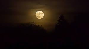 Following the string of chaos in the 2020 astrology, the full moon of december 2020 is accompanied by a sense of warmth and hope. Does The Moon Affect Our Sleep Eurekalert Science News