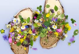 I have a cook book cooking from the garden and it mentions all the safe and all the poisonous flowers. Edible Flowers Can Contribute To Daily Dose Of Vitamin E Study Suggests