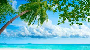 Live Beautiful Nature Wallpaper Background Hd Wallpapers 1280 720 Beautiful Nature Wallpaper 44 Wallpapers Summer Wallpaper Nature Wallpaper Beach Pictures