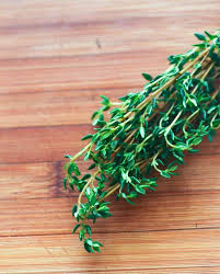 Thyme is a popular and very aromatic herb grown in europe and is related to mint. Best Substitutes For Thyme Immaculate Bites