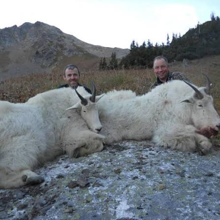 Mountain Goat Hunts | British Columbia, Canada Guides Outfitters