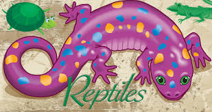 Think of something as simple as sorting: Reptiles Theme And Activities Educatall