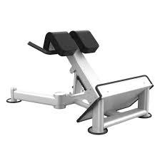 Back Extension Bench