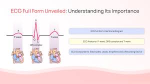 Image result for Electrocardiogram